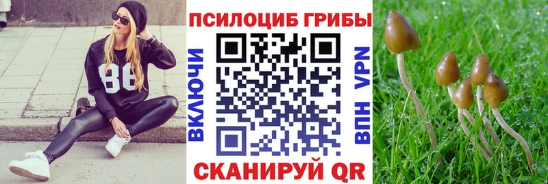 Псилоцибиновые грибы мицелий  Староминская 